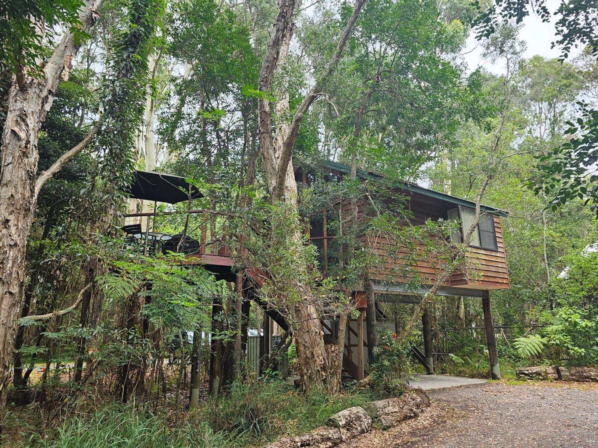 מלון נלסון ביי Wanderers Retreat מראה חיצוני תמונה