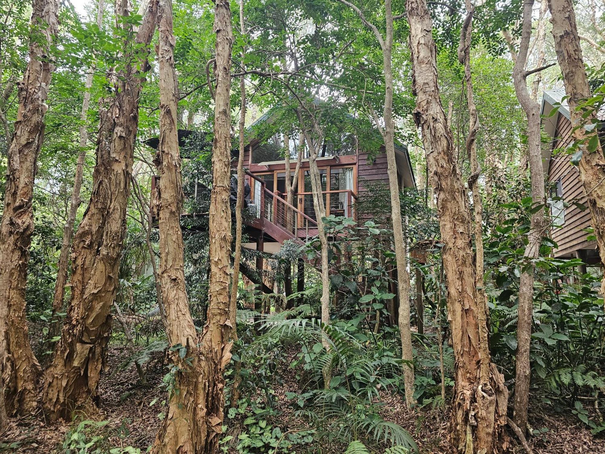 מלון נלסון ביי Wanderers Retreat מראה חיצוני תמונה