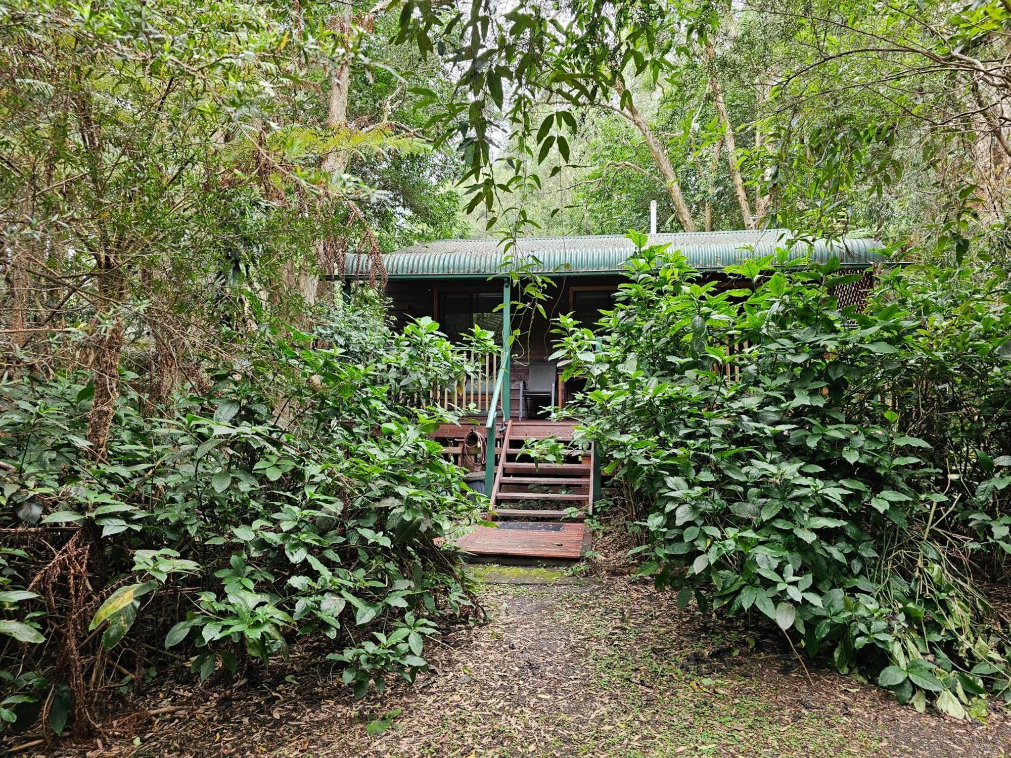 מלון נלסון ביי Wanderers Retreat מראה חיצוני תמונה